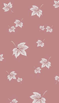 a pink and white wallpaper with leaves in the air on it's side