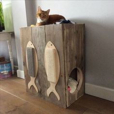 a cat sitting on top of a wooden box with fish cut out of it's sides