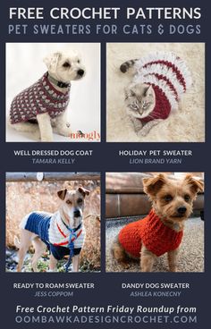 four different knitted sweaters for dogs and cats with text overlay that reads free crochet patterns pet sweaters for cats & dogs