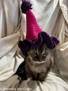 a cat wearing a crochet party hat for cats with the caption free pattern