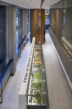 the inside of a building with many plants growing in it's trays on display