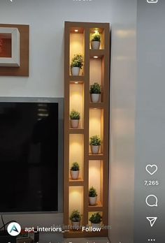 a flat screen tv sitting next to a tall wooden shelf filled with potted plants