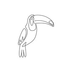 a black and white drawing of a toucan bird