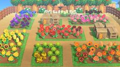 a garden with many different types of flowers