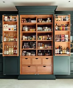 an open pantry with lots of bottles and spices on the shelves next to each other