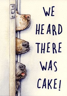 two dogs peeking out from behind a door with the words we heard there was cake