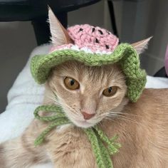 a cat wearing a knitted hat with watermelon on it