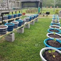 several buckets filled with plants sitting on top of a grass covered field