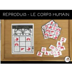 a wooden frame with some cards and stickers on top of it that says reprodus le corps human