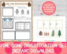 the pine cone investigation set is shown in this printable worksheet for kids