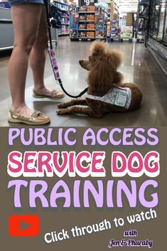 a dog sitting on the floor with its leash attached to it's collar, in a store aisle