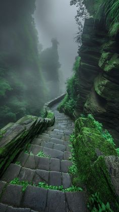 a stone path with moss growing on it in the middle of a cliff side area