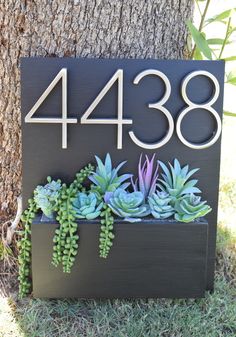 a house number sign with succulents in it