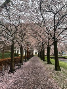 the walkway is lined with pink flowers and trees