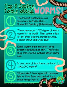 the top 5 coolest fact about worms info sheet for kids and adults to use