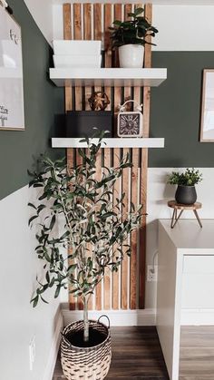 a potted plant sitting on top of a wooden shelf next to a white counter