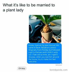 a person holding a potted plant in their left hand and texting on the right