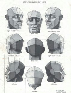 the head is shown with different angles and shapes