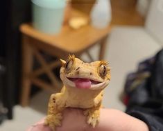 a small lizard sitting on top of someone's hand with it's tongue out