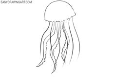 a drawing of a jellyfish