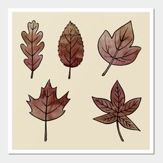 four different types of leaves are shown in this drawing technique, including red and brown leaves