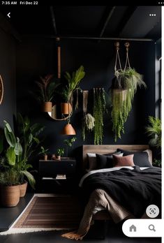 a bedroom with plants hanging on the wall