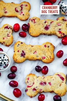 cranberry dog treats on a marble table