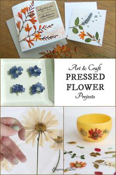 the process of making pressed flower projects