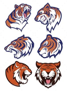 four different colored tiger heads with open mouth and teeth - sports / activity conceptuales