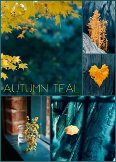 an autumn teal collage with yellow leaves and trees in the background, along with text that reads autumn teal