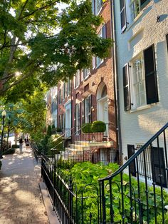 an alley way with brick buildings and green plants on either side, surrounded by trees