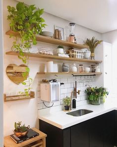 the kitchen is clean and ready to be used as a place for potted plants