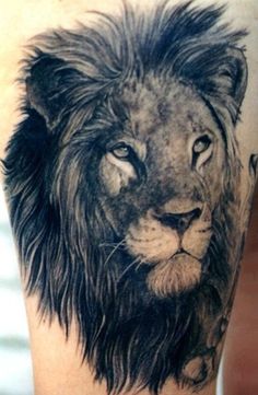 a black and white photo of a lion on the leg