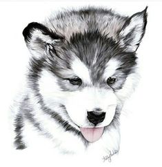 a drawing of a husky dog with its tongue out