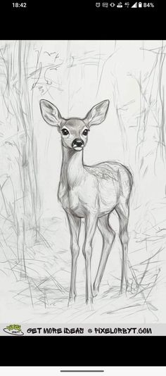 a pencil drawing of a deer standing in the woods