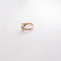 Signet Ring for Women, Oval Chevalier ring, Pinky finger ring, 14k Gold Signet Ring, Rose Gold or Yellow Gold, Oval Silver Geometric Ring Fine Jewelry Rose Gold Oval Initial Ring, Rose Gold Oval Initial Ring Fine Jewelry, Rose Gold Oval Initial Fine Jewelry Ring, Oval Rose Gold Initial Ring Fine Jewelry, Rose Gold Oval Rings Tarnish Resistant, Rose Gold Oval Tarnish Resistant Ring, Rose Gold Tarnish-resistant Promise Ring, Tarnish Resistant Rose Gold Round Rings, Classic Oval Couple Rings For Anniversary