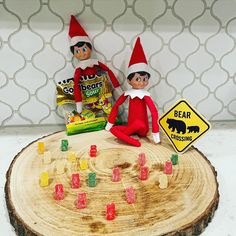 two elfs sitting on top of a tree stump with gummy bears in front of them