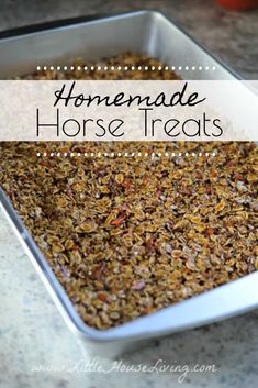 homemade horse treats in a baking pan on a counter with the words homemade horse treats