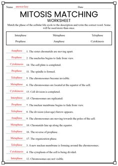 a worksheet with the words mitos matching