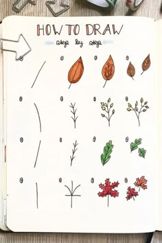 an open notebook with drawings and markers on the pages that include leaves, acorns, and flowers