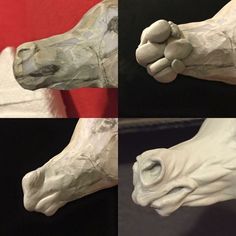 four different views of a white horse's head and foot in three separate images