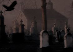 an old cemetery with tombstones and a bird flying over it