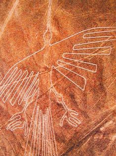 an image of a bird on the side of a rock with lines drawn in it