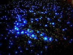 blue lights are shining on the ground in the dark night sky, creating an abstract pattern