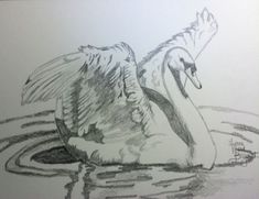 a drawing of a swan floating in the water