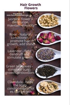 Herbs For Hair Growth, Herbs For Hair, Natural Hair Treatments, Hair Growing Tips, Natural Hair Oils, Natural Hair Care Tips