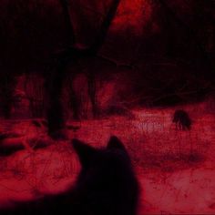 the cat is looking out at the deer in the snow covered woods with red light coming from its eyes