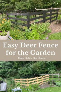 Unfinished 4 rail fence and black painted 4 rail fence for garden. Deer Proof Garden Raised Beds, Diy Wooden Fence, Blackberry Garden, Pallet Trellis, Wood Deer, Deer Proof, Small Fence