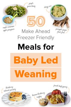 the top 50 meals for baby led weaning