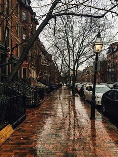 a wet street with cars parked on it